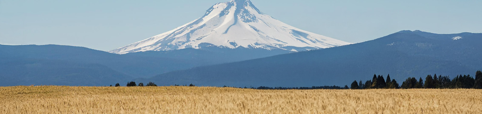 Lessons from Oregon that already work