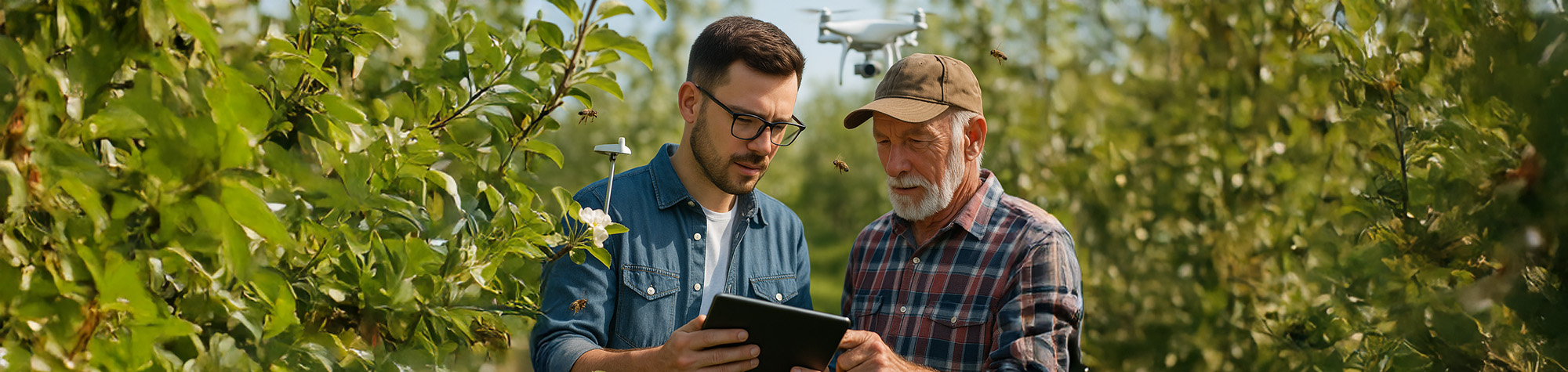 Grant funding for practical apple research